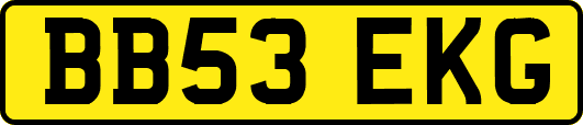 BB53EKG