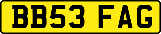 BB53FAG