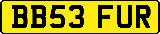 BB53FUR