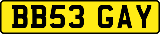 BB53GAY