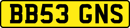 BB53GNS