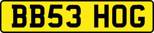 BB53HOG