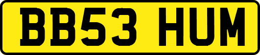 BB53HUM