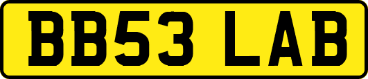 BB53LAB