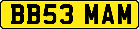 BB53MAM