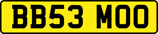 BB53MOO