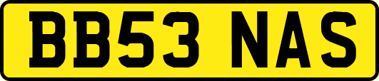 BB53NAS