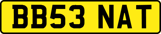 BB53NAT