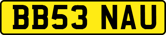 BB53NAU