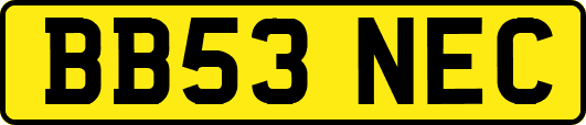 BB53NEC