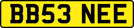 BB53NEE