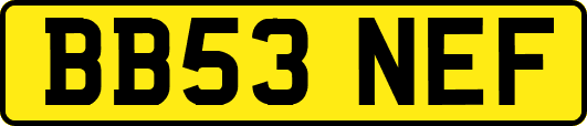 BB53NEF