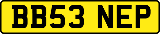 BB53NEP