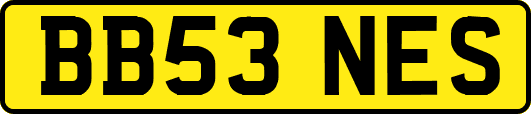 BB53NES