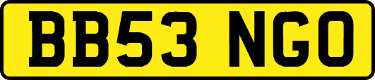 BB53NGO