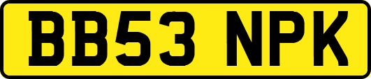 BB53NPK