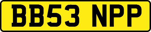 BB53NPP