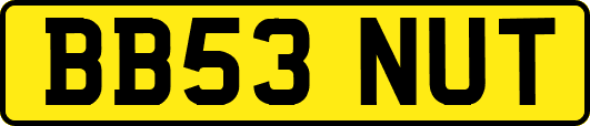 BB53NUT