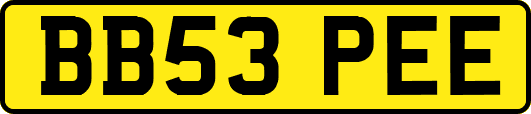 BB53PEE