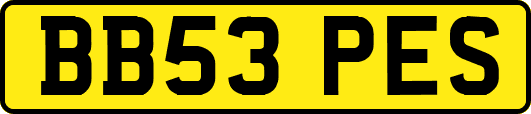BB53PES