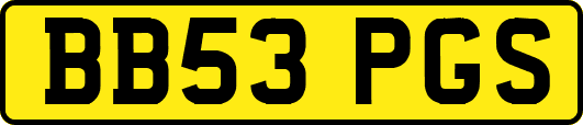 BB53PGS