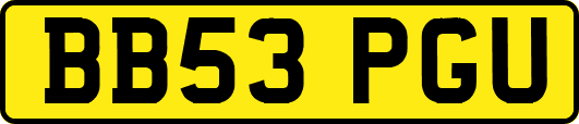 BB53PGU