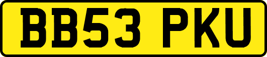 BB53PKU