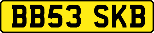 BB53SKB