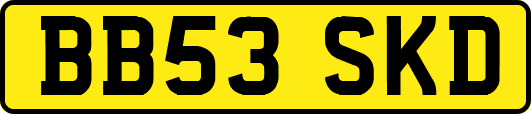 BB53SKD