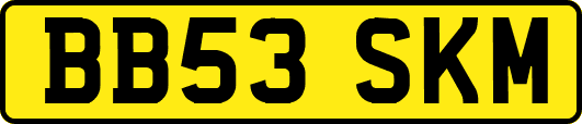 BB53SKM