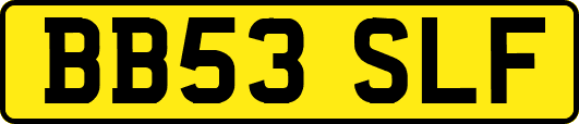 BB53SLF