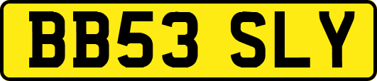 BB53SLY