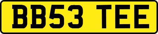 BB53TEE