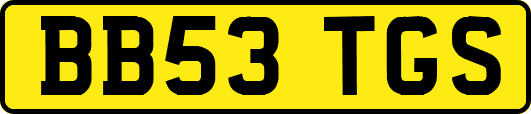 BB53TGS