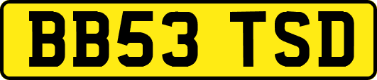 BB53TSD