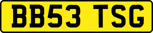 BB53TSG