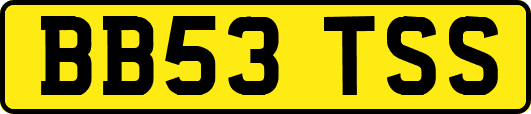 BB53TSS