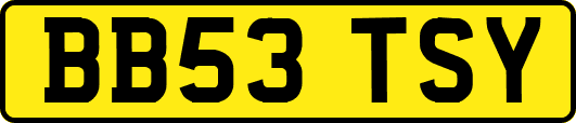 BB53TSY