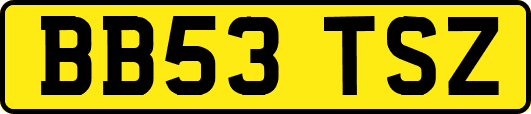 BB53TSZ