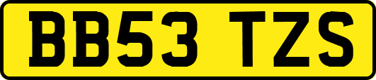 BB53TZS