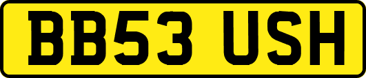 BB53USH