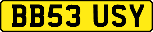 BB53USY