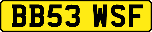 BB53WSF
