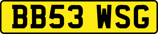 BB53WSG