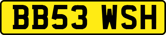 BB53WSH