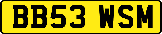 BB53WSM