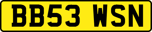 BB53WSN