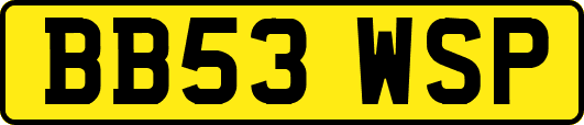 BB53WSP