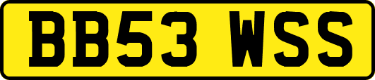 BB53WSS