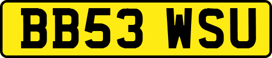 BB53WSU